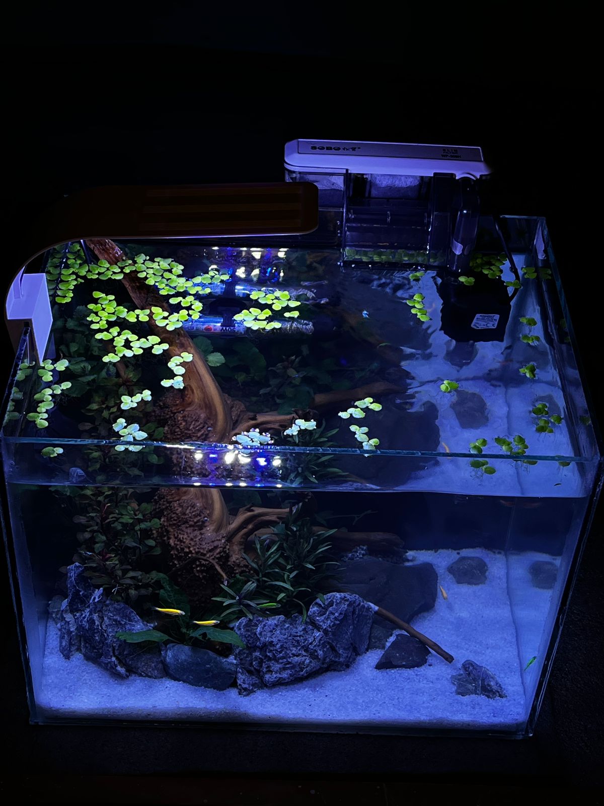 Custom Marine Setup